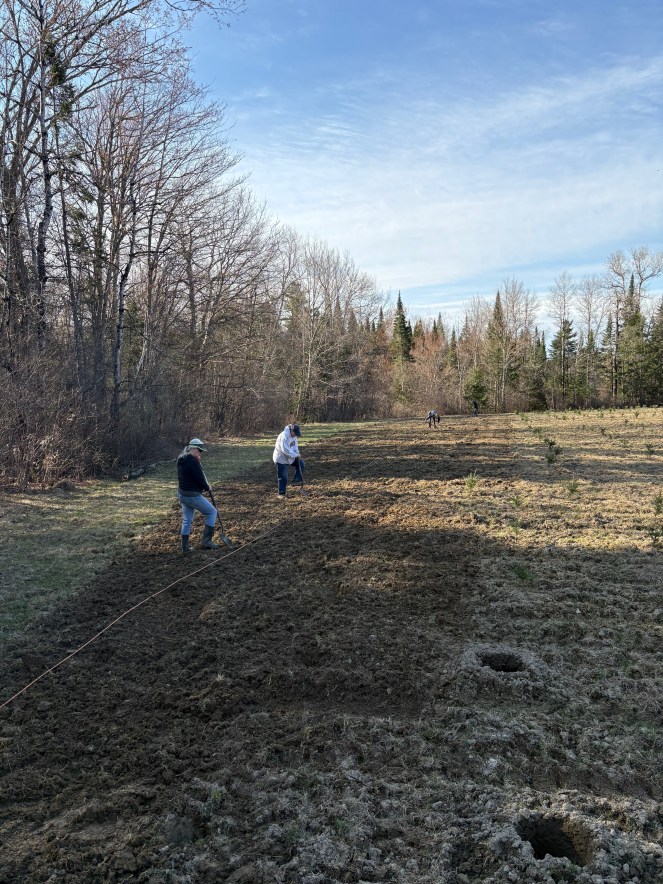 Nancy and Stacy Doore preparing the soil for the sapling