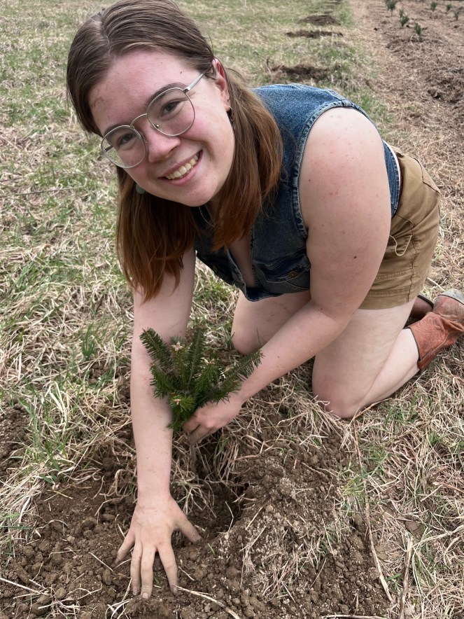 Georgia planting a sapling